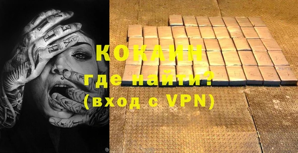 прущий лед Алзамай