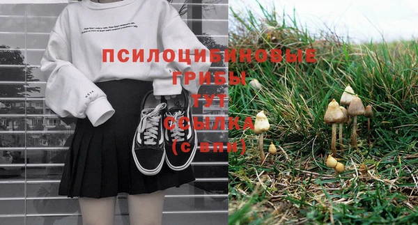 прущий лед Алексин