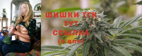 прущий лед Алексин