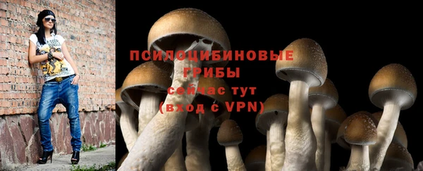 прущий лед Алзамай