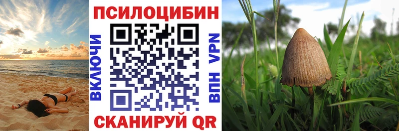 Галлюциногенные грибы мицелий  ссылка на мегу вход  Артёмовск  купить  